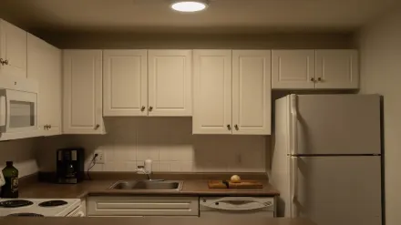 A golden retriever standing near a kitchen counter where onions have been sliced