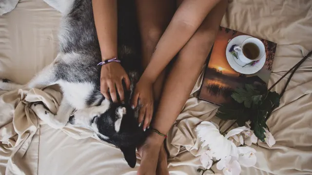 A person relaxing on a bed with a dog