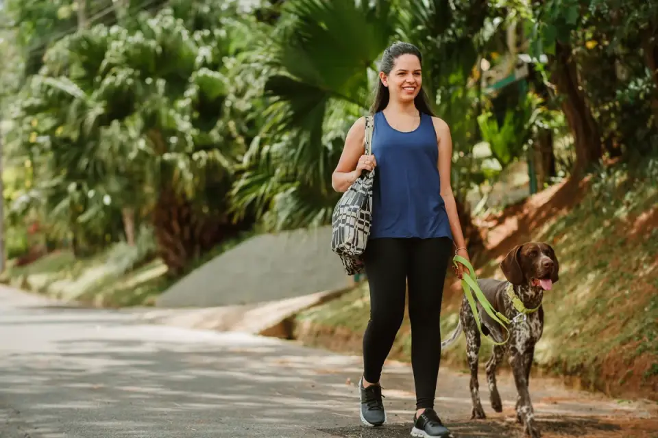A trainer working with a leashed dog reacting to a distant trigger