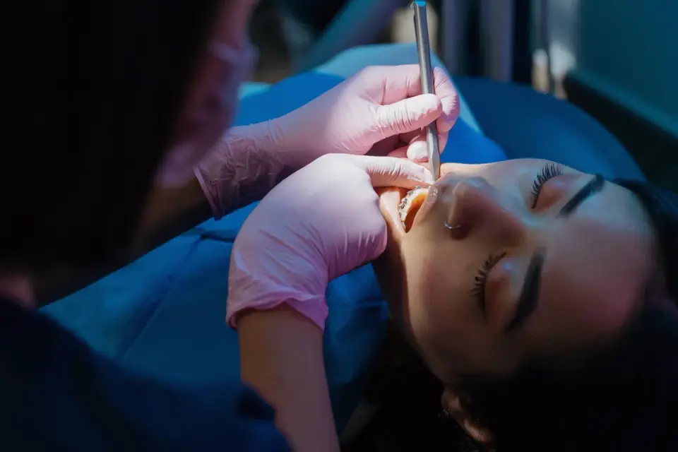 A veterinarian gently checking a dog&#x27;s teeth and gums