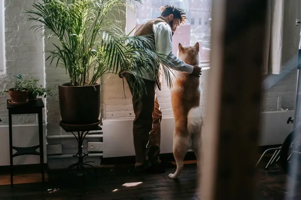 A veterinarian speaking with a dog owner during a calm exam room consultation