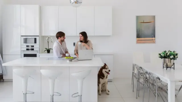 Dog at home near a kitchen