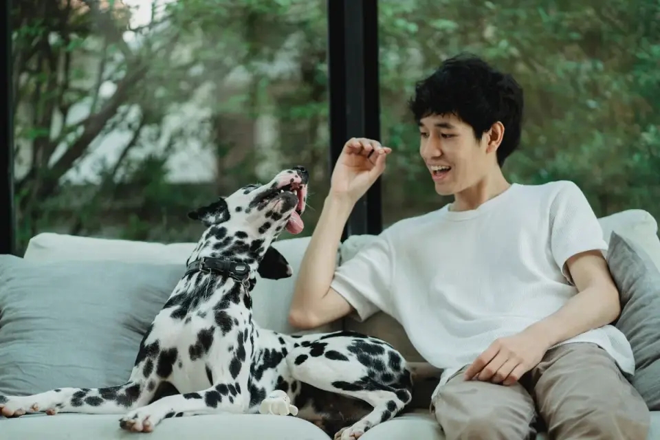 Dog eating from a bowl at home