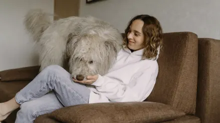 Dog eating from a bowl