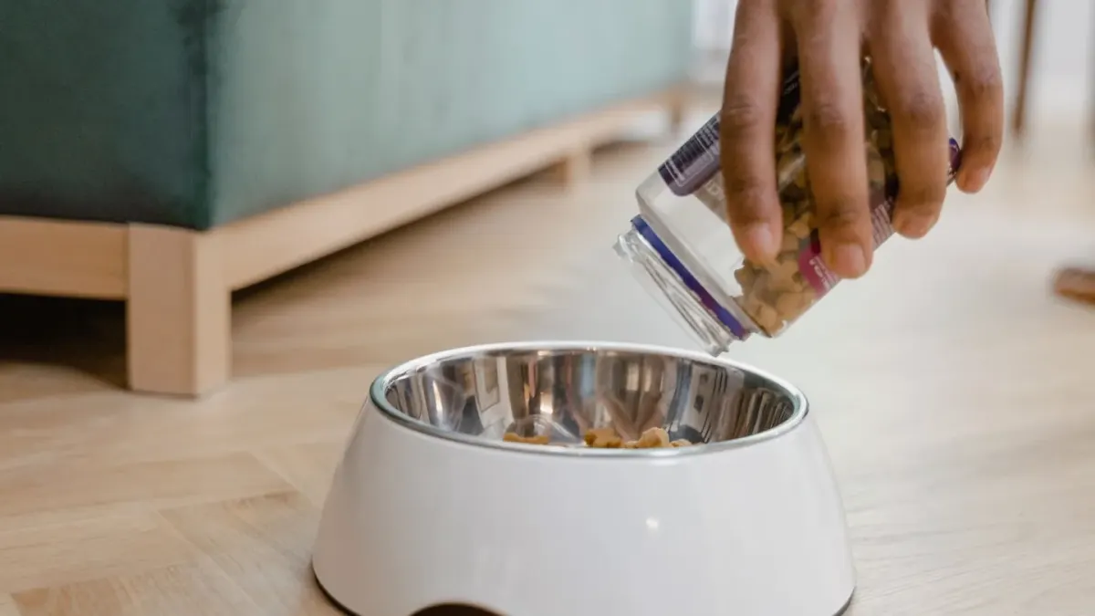 Dog eating from a bowl