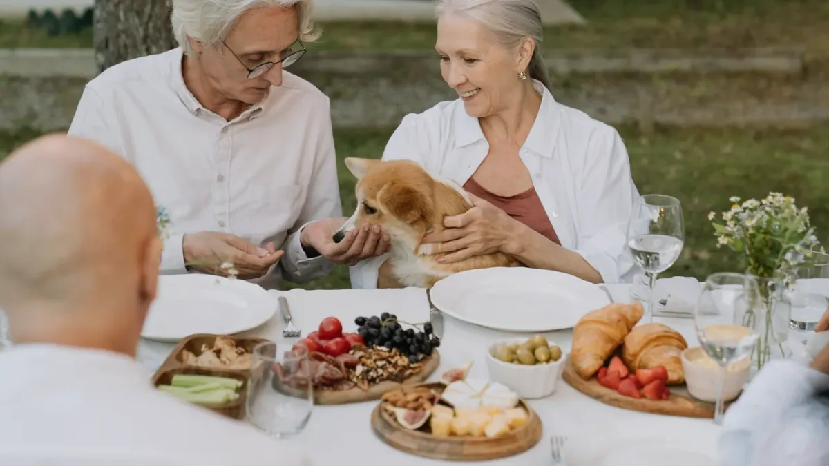 Dog eating outdoors bowl