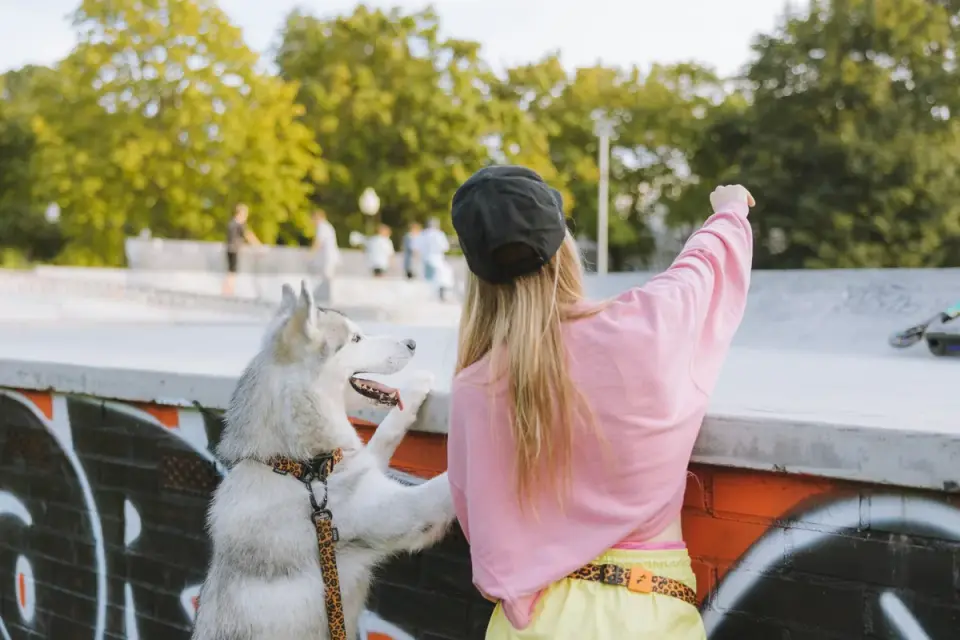 Dog eating outdoors bowl