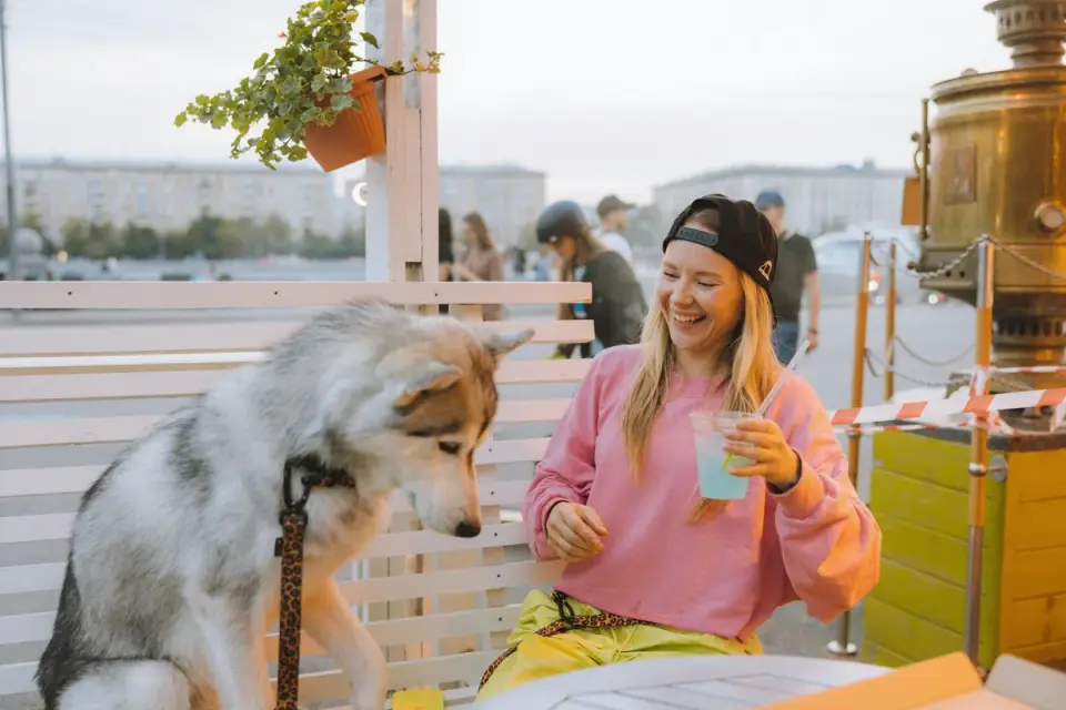 Dog eating outdoors