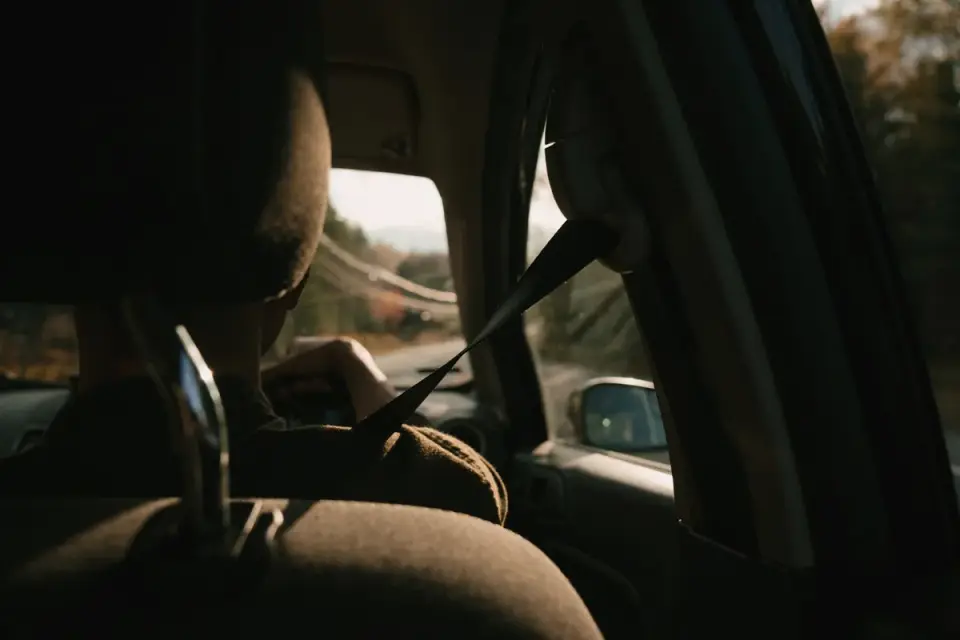 Dog in car back seat