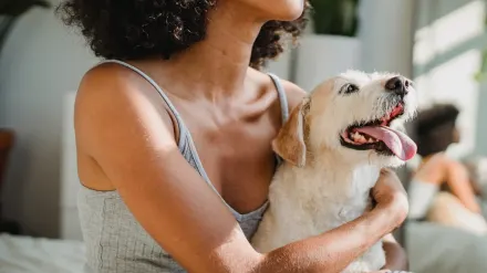 Dog in kitchen with owner
