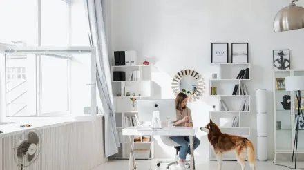 Dog in kitchen with owner
