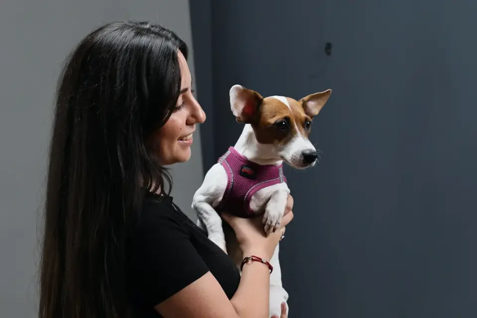 Dog in kitchen with owner