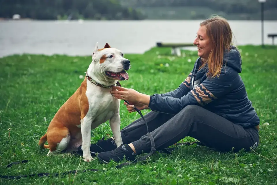 Dog owner comforting dog home