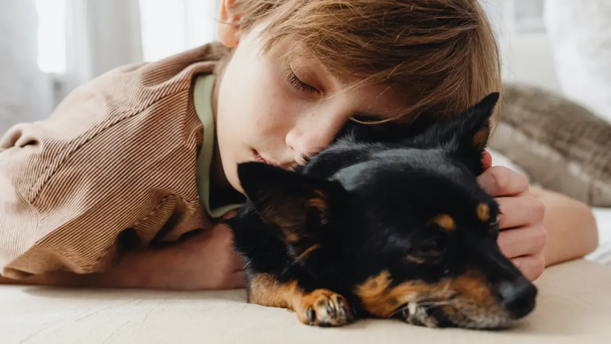 Dog owner comforting dog home
