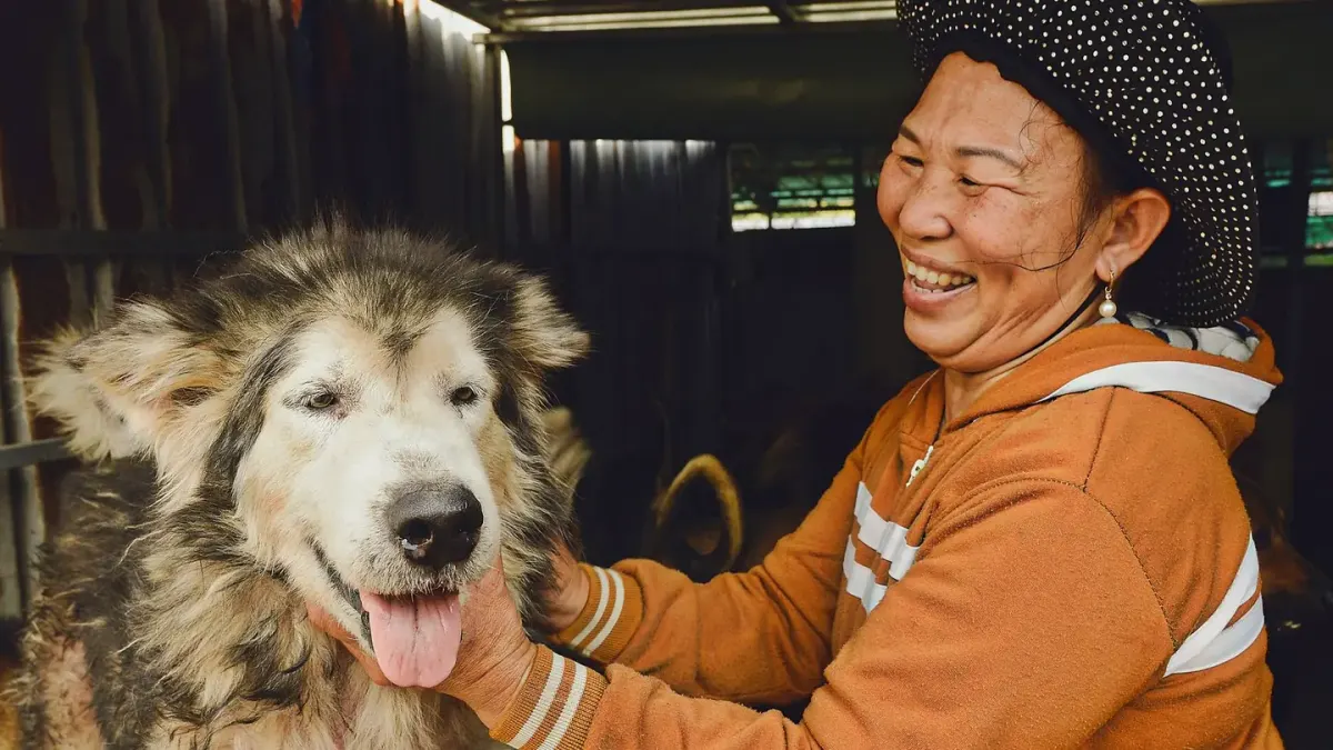 Dog owner comforting dog home