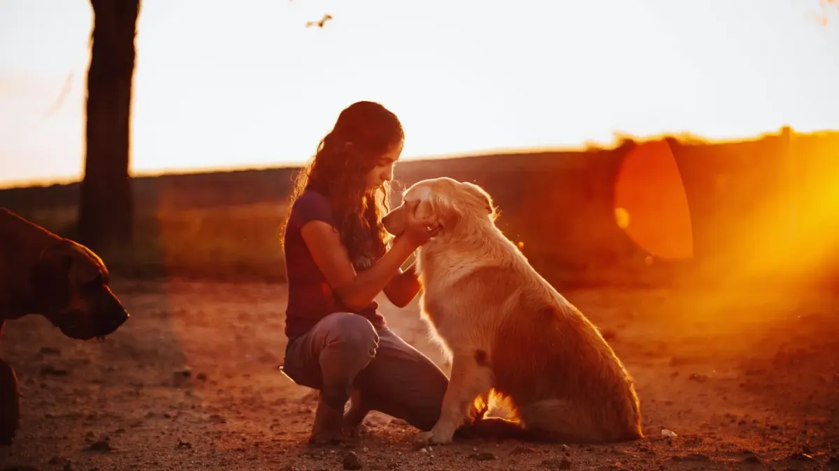 Dog owner comforting dog home