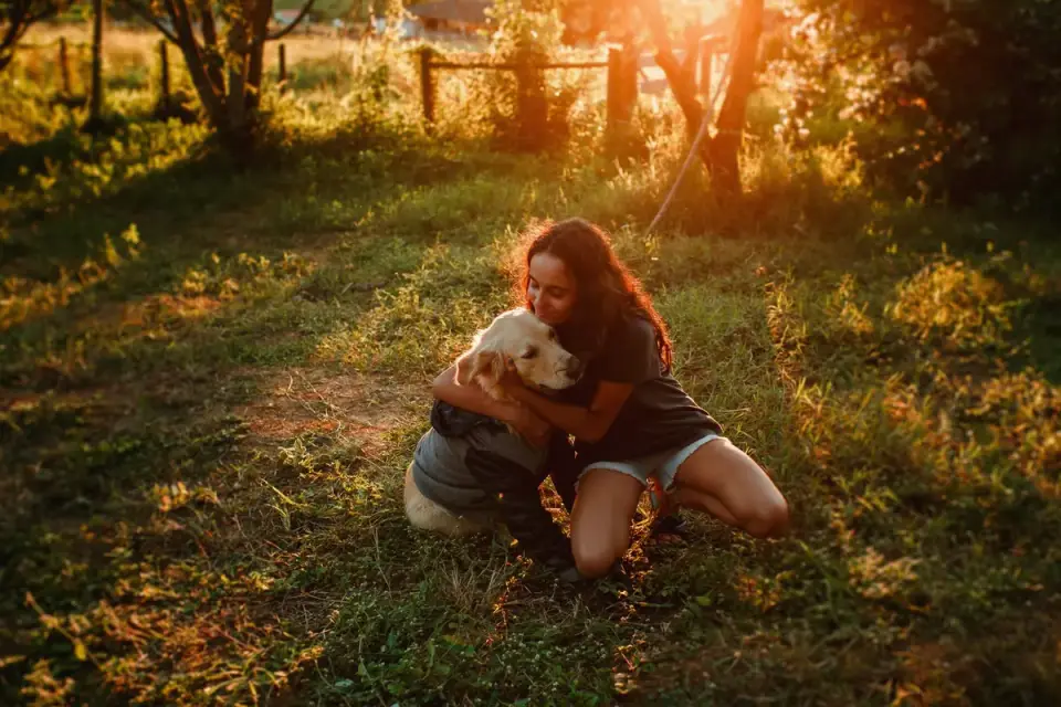 Dog owner home