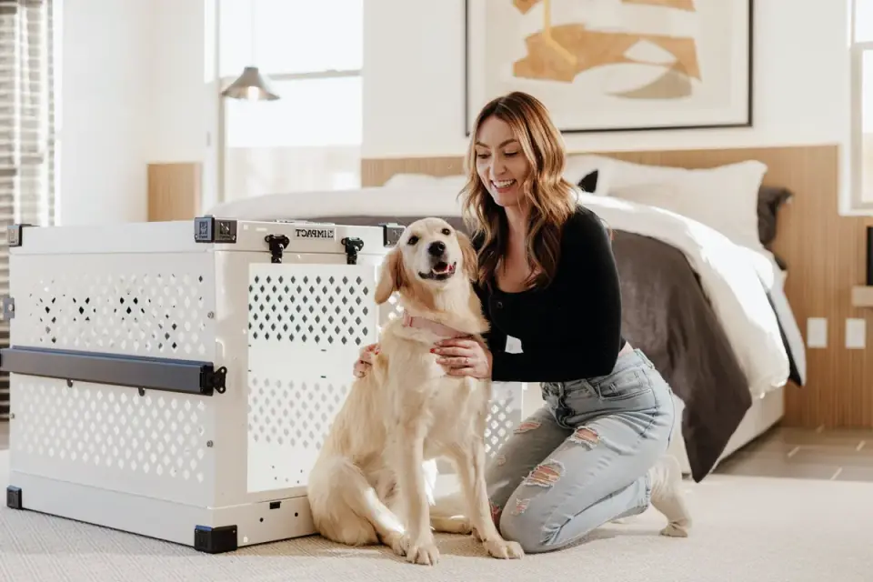 Dog owner home
