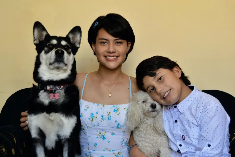 Dog owner home