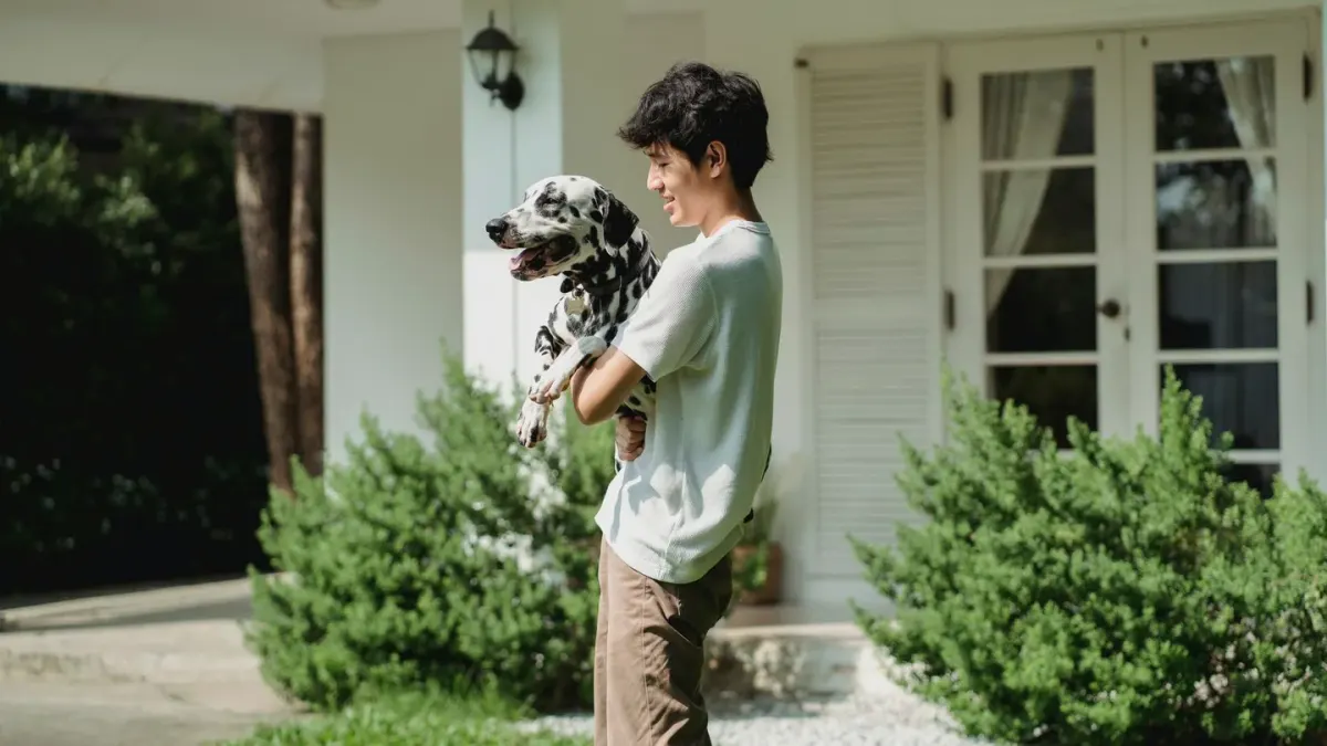 Dog owner home