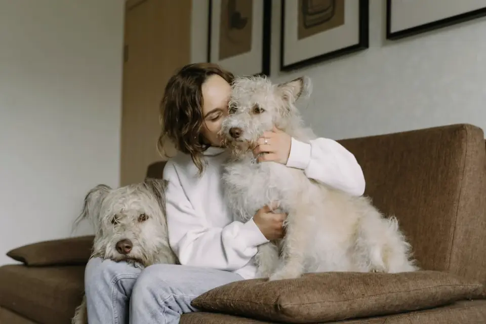 Dog owner home