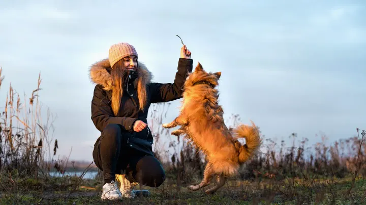 Dog owner preparing a meal