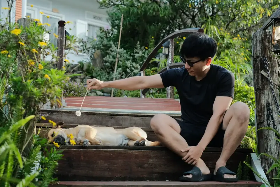 Dog owner preparing a meal