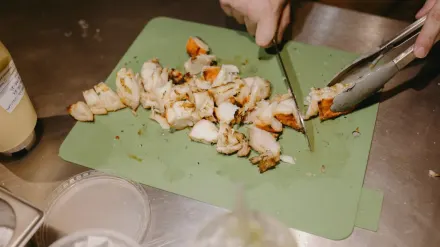 Dog owner preparing dog food kitchen