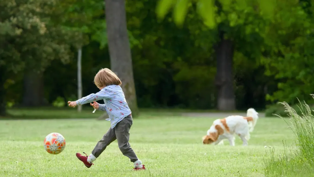 Dog playing with a ball