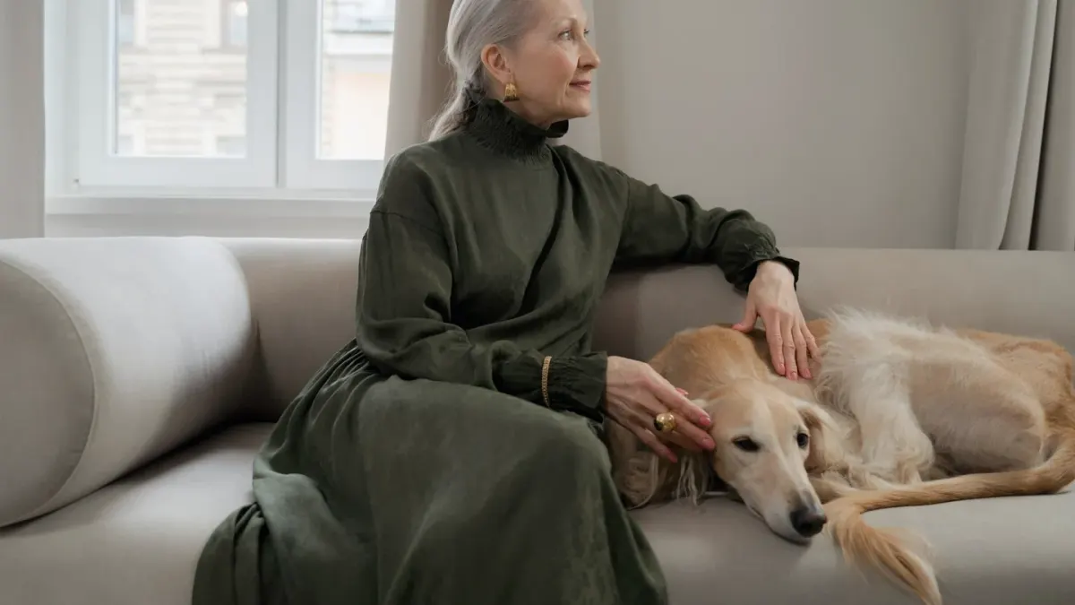 Dog resting with owner living room
