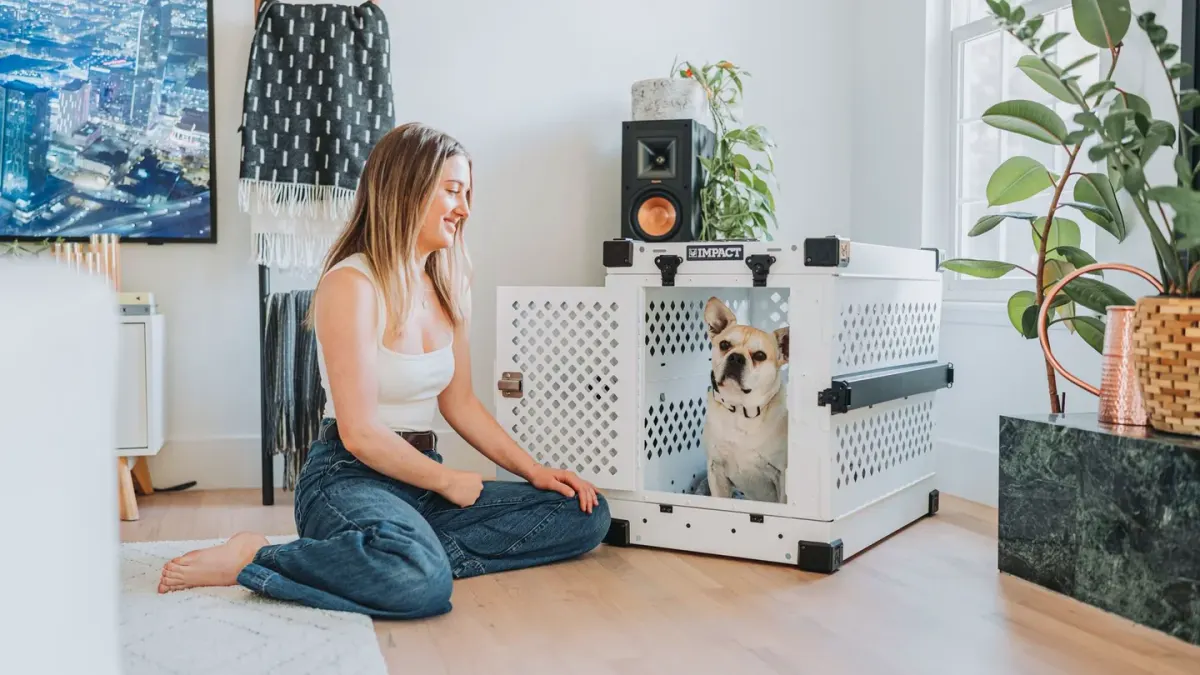 Dog resting with owner living room