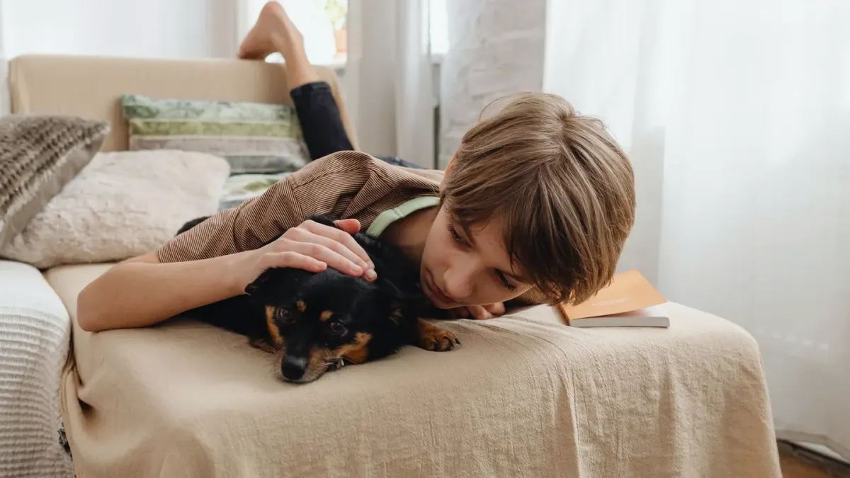 Dog resting with owner living room