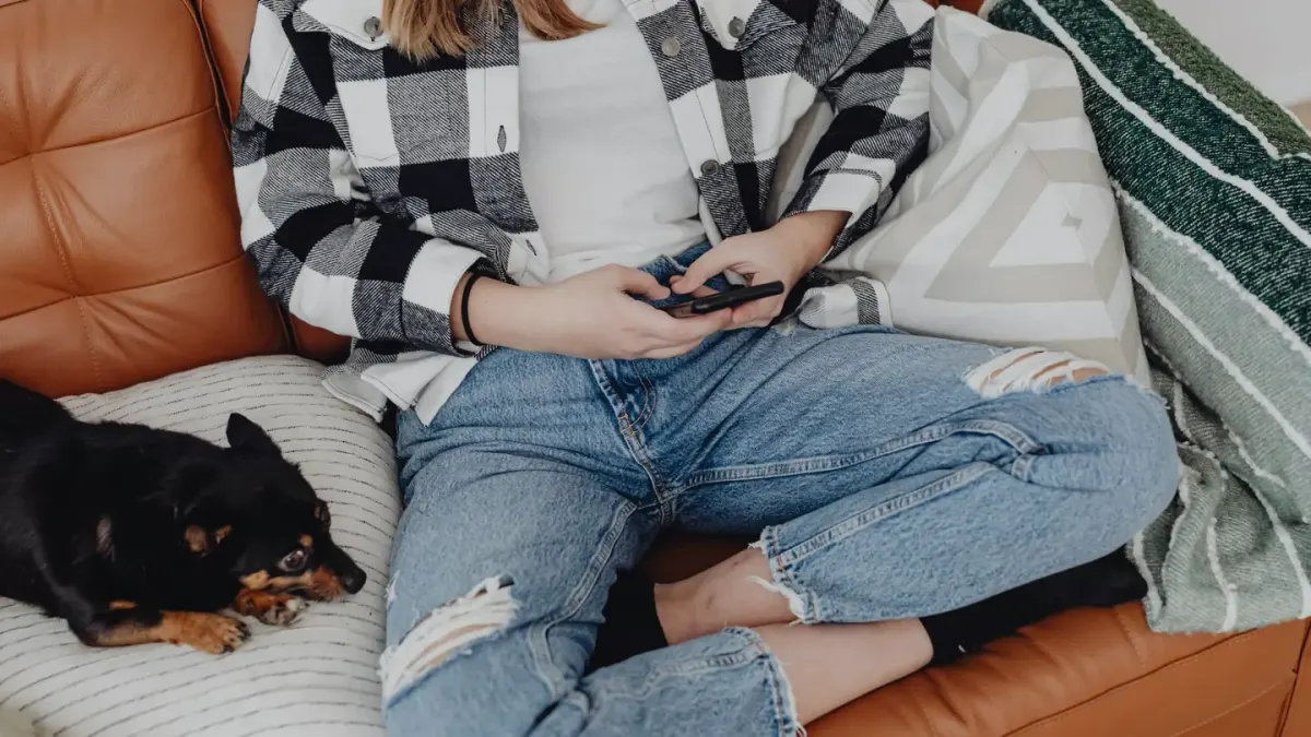 Dog resting with owner living room