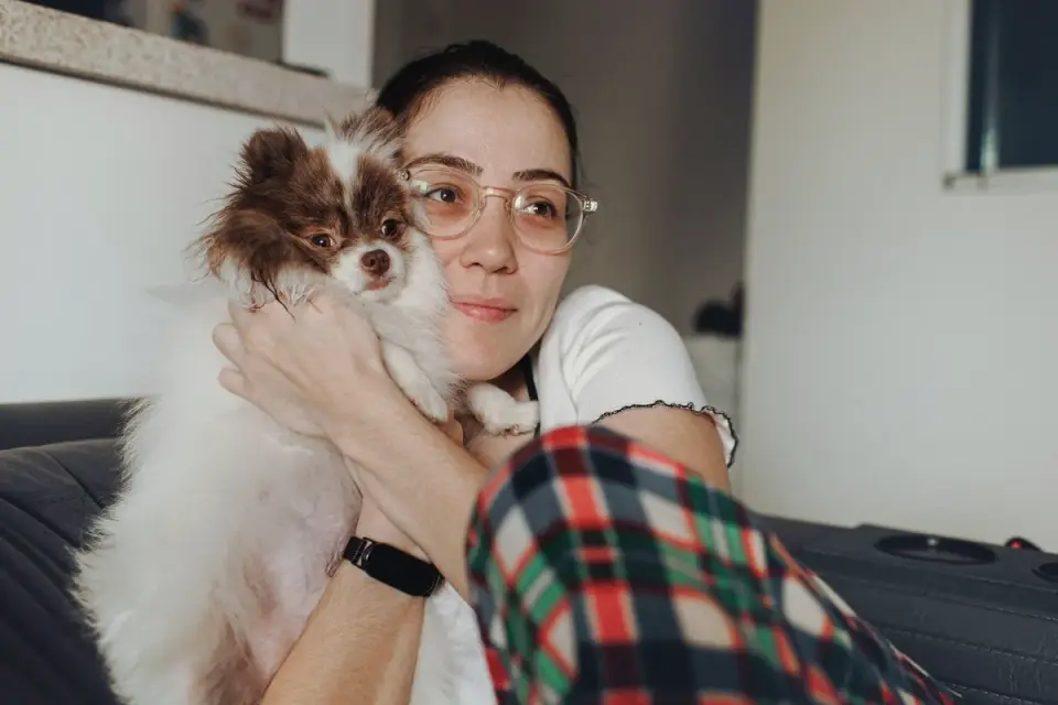 Dog resting with owner living room