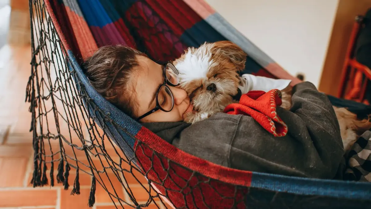 Dog sleeping cozy home