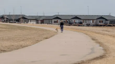 Dog walking outdoors owner