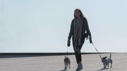 Dog walking with an owner
