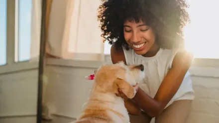 Dog with an owner at home