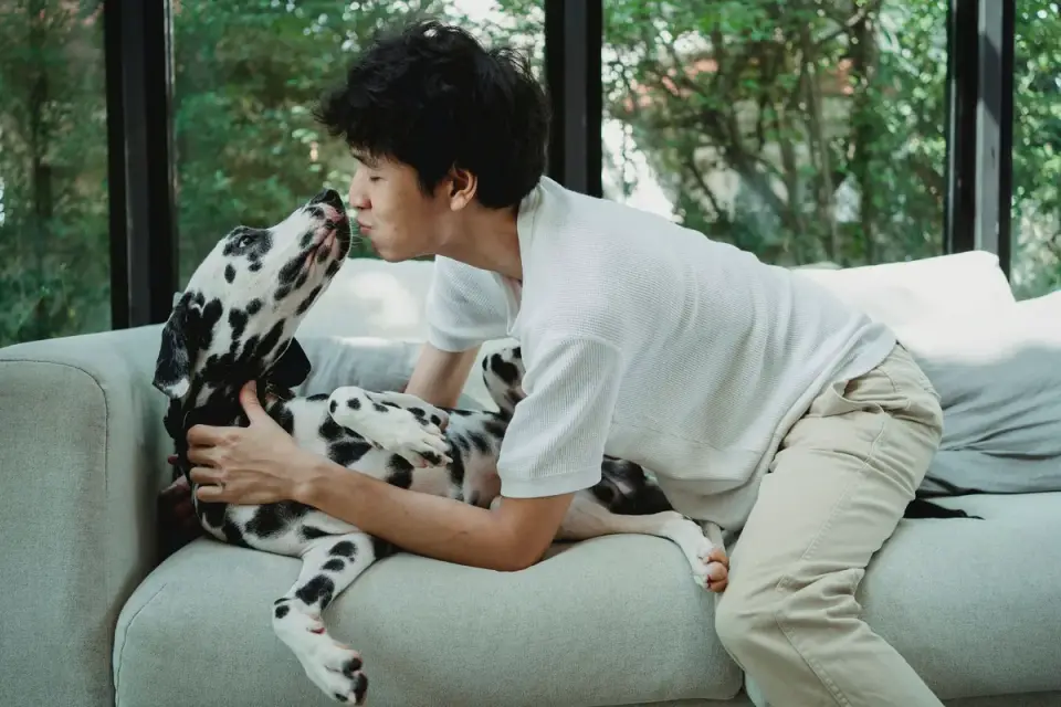Dog with an owner at home