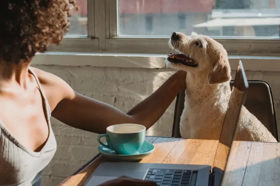 Dog with an owner at home