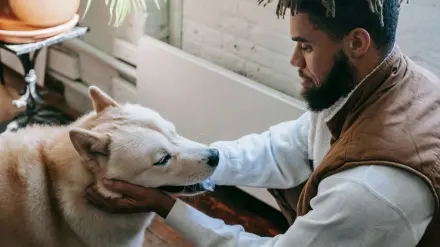 Dog with an owner at home