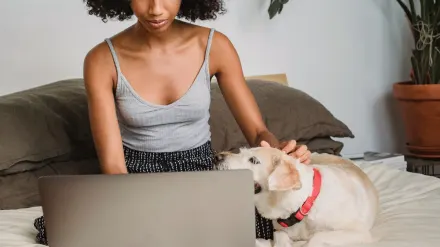 Dog with an owner at home
