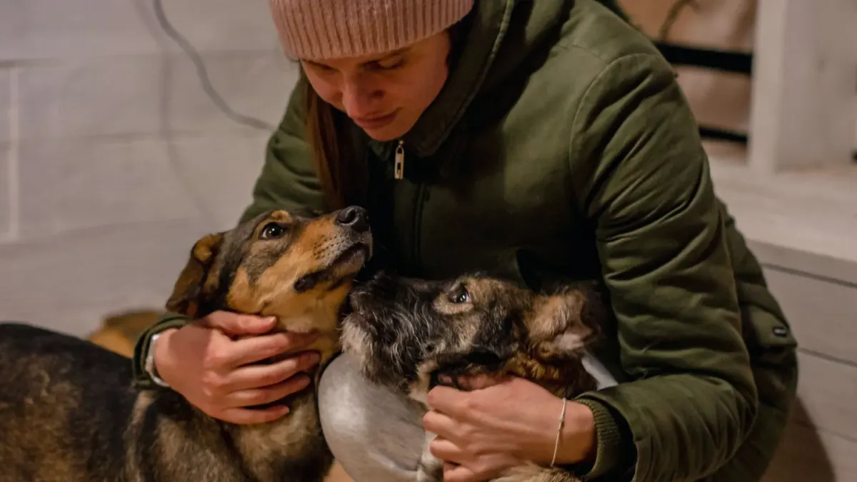 Dog with an owner at home