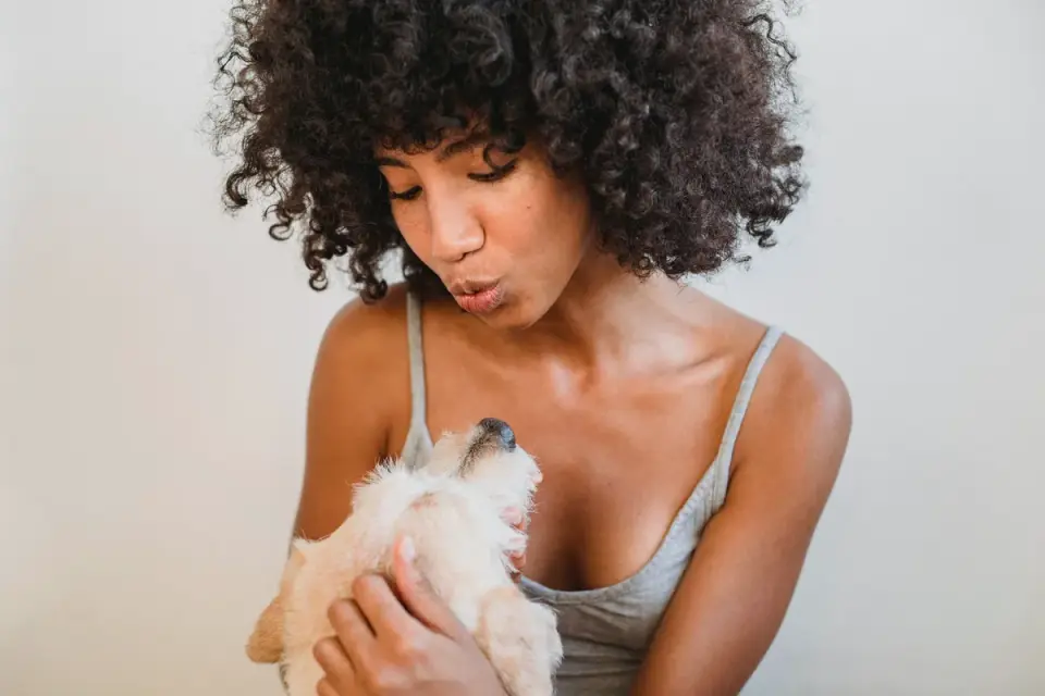Dog with an owner at home