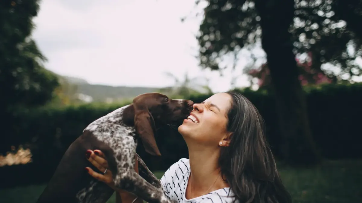Dog with an owner at home
