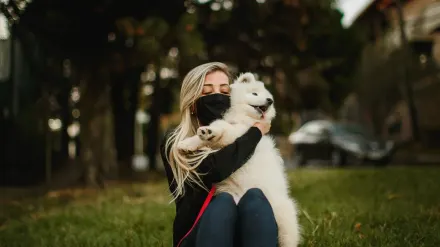 Older dog with an owner in a park
