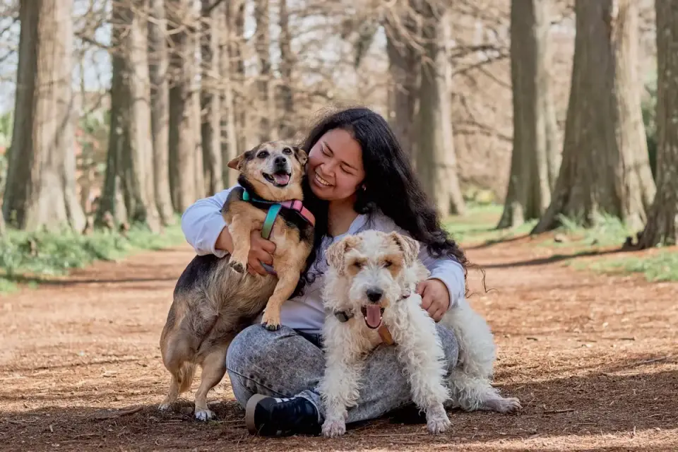 Older dog with an owner in a park