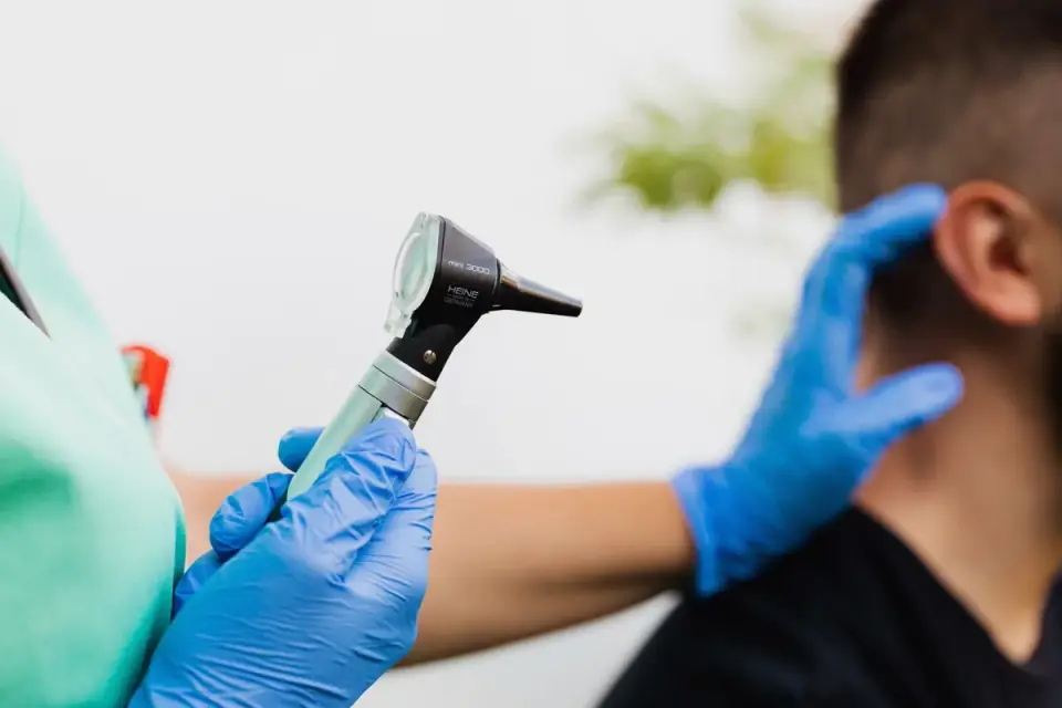 Veterinarian examining a spaniel's ear with an otoscope
