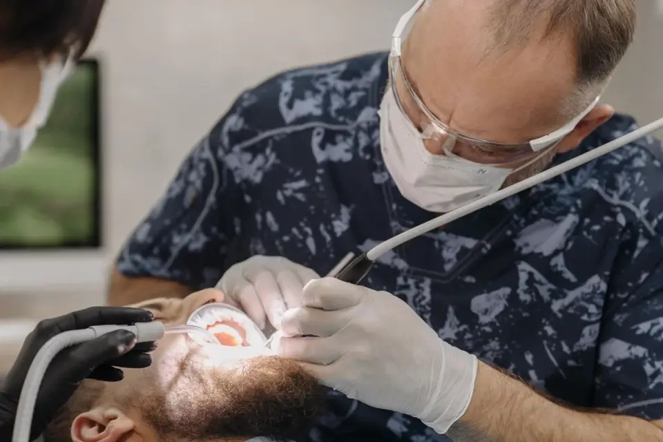 Veterinarian gently checking a dog's gum color during an exam